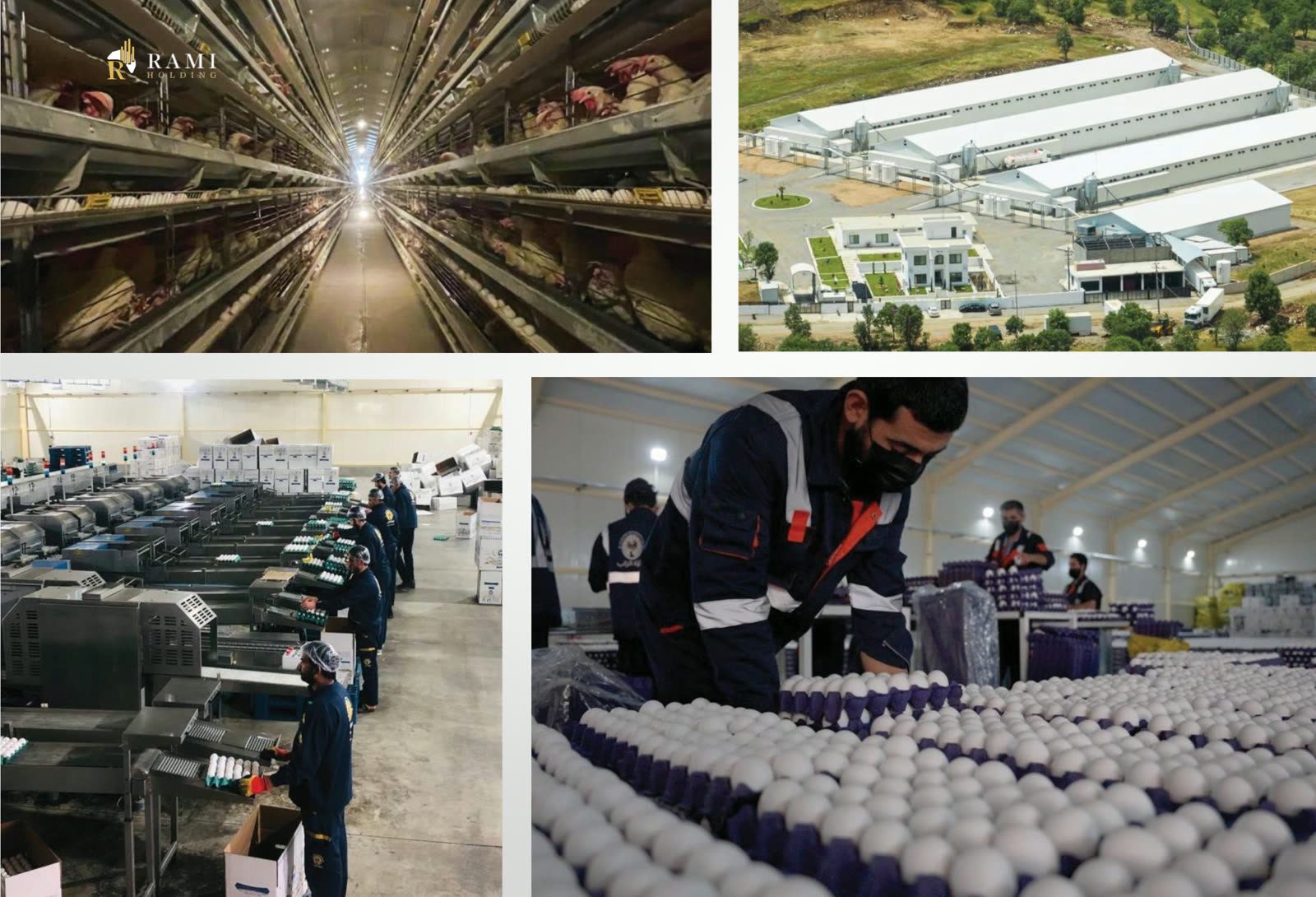 Advanced Egg Production